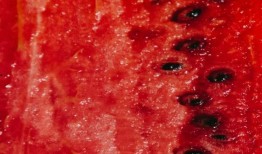 月下吃瓜人作品,揭秘都市生活背后的秘密