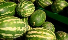 史各庄吃瓜事件,一场引发热议的社区冲突