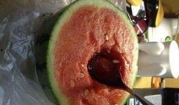 半个小时吃瓜,新鲜资讯一网打尽