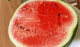 瓜瓜吃瓜是什么,揭秘网络热词背后的趣味与现象