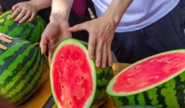 重点大学吃瓜,揭秘校园里的那些“吃瓜”事件