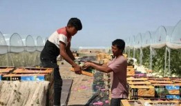 吃瓜群众来袭视频,揭秘网络视频热潮背后的故事