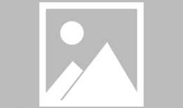 山东天天吃瓜,瓜果飘香，生活甜蜜