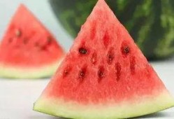 fruit吃瓜q群,探索fruit吃瓜q群的欢乐时光