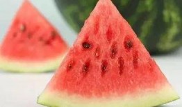 fruit吃瓜q群,探索fruit吃瓜q群的欢乐时光