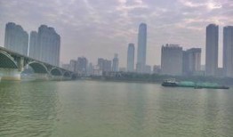 橘子洲头吃瓜,夏日吃瓜盛宴