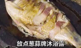 吃瓜肥肥鱼,揭秘娱乐圈背后的那些事儿