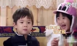 刘姐吃瓜,揭秘娱乐圈幕后故事