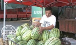 天密瓜怎么吃,解锁美味新体验