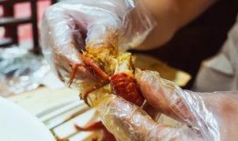 虾吃小瓜虫么,探究它们之间微妙的食物关系