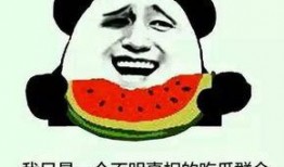 吃瓜群众爱吃瓜君