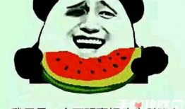 吃瓜视频什么梗,揭秘网络热门梗背后的故事