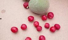 天津武清吃瓜,夏日炎炎，吃瓜群众欢乐多