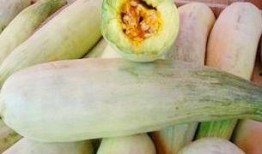 吃牛角酥瓜,传统美食的甜蜜邂逅