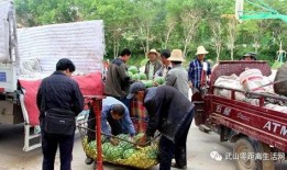 武山县吃瓜,探寻瓜乡美食之旅