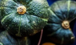 谁吃贝贝瓜,探寻“谁吃贝贝瓜”的神秘传说