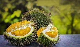 猫耳半夜吃瓜,娱乐圈那些不为人知的瓜