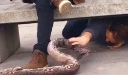 街头恶搞病人吃瓜