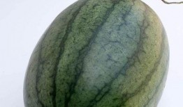 中午空腹吃瓜,夏日消暑新风尚