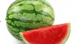 吃瓜宝典哪个品种好,揭秘最佳品种，尽享夏日清凉美味