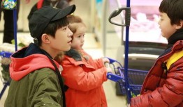 吃瓜北鼻社团,揭秘网络社交圈的“瓜田”盛景