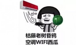 吃瓜先 你吃呢,你吃瓜了吗？