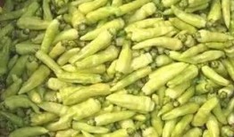 笼中雀吃瓜群,一场别开生面的吃瓜盛宴