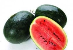 绿色壁纸手机吃瓜