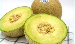 嗯宝宝多大可以吃哈密瓜,哈密瓜引入指南