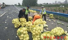 吃瓜大队,揭秘娱乐圈幕后故事