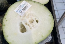 成都吃瓜视频,揭秘网红美食背后的故事