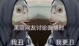 网恋炸裂吃瓜合集,吃瓜合集，揭秘虚拟世界的情感风暴