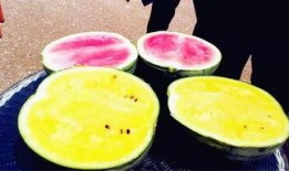 成都吃瓜爆料,揭秘网红美食背后的故事