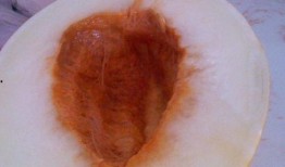 孕期可以吃伊丽莎白瓜,伊丽莎白瓜的孕期食用指南