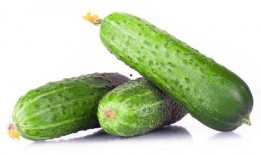 绿色壁纸手机吃瓜