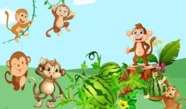 故事猴子吃瓜视频,趣味横生的自然奇观