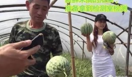 吃瓜群众直播号,带你领略网络直播的魅力与趣味