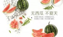 文化公司吃瓜,揭秘吃瓜背后的娱乐产业秘密