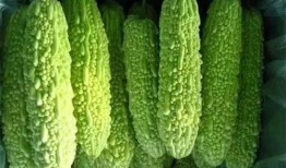 南宁行健吃瓜,一场别开生面的“吃瓜”盛宴