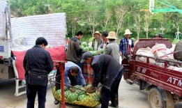 莆田吃瓜群众在路上,吃瓜群众的热议瞬间