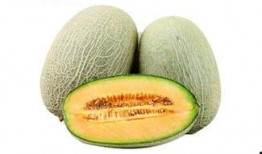 牛吃哈密瓜吗
