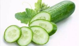 茉莉宝吃瓜,茉莉宝的瓜界探险记