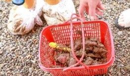 单位摸鱼吃瓜,轻松吃瓜，畅享职场小确幸