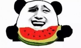 吃瓜群众阿柯,揭秘吃瓜群众的趣味生活