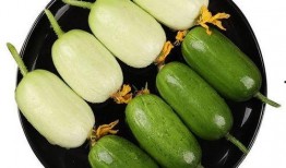 合掌瓜怎么吃美食声控,解锁创意烹饪新体验