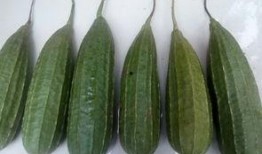 感谢老板吃瓜,我们一起来吃