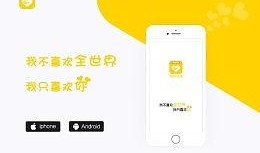 语音平台吃瓜表白墙,揭秘网络情感世界的甜蜜与苦涩