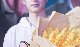 深圳演员吃瓜,娱乐圈幕后故事曝光