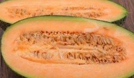 做梦吃哈密瓜,哈密瓜的奇幻之旅