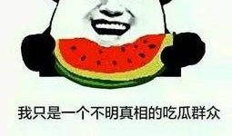 吃瓜群众回忆视频,一场视觉盛宴背后的故事